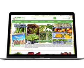 Web / Mobile / Software Programuotojas / MB Bitspace / Darbų pavyzdys ID 337047