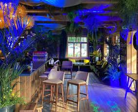 Apšvietimas ir DJ paslaugos Pinewood Lounge/Bar restorane