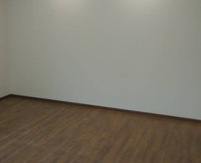 Vidaus apdailos darbai Kaune / Aleksandras / Darbų pavyzdys ID 341205