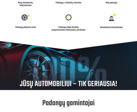 Internetinė svetainė automobilių servisui: www.r20.lt