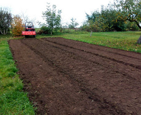 Žolės pjovimas,žemės frezavimas,mulciavimas / Arturas / Darbų pavyzdys ID 1444767
