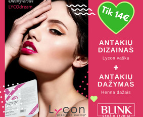 El. parduotuvių kūrimas Rinkodara Mokymai / Goda Piktas / Darbų pavyzdys ID 351841