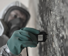 Pelėsio naikinimas - Pelėsio/trobagrybio naikinimas visoje Lietuvoje - 1