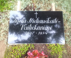 Raidžių kalimas , paminklai, akmens plokštės, kapu prieziura / Remigijus Šležas / Darbų pavyzdys ID 352889