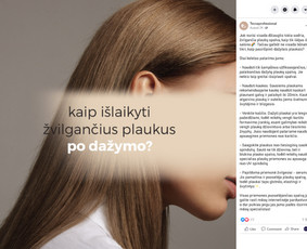 Socialinių tinklų kūrimas, komunikacija + strategija / Emilija Rimkute / Darbų pavyzdys ID 1448733