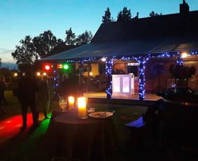 Renginių vedėjas visoje Lietuvoje / Tadas Buitkus / Darbų pavyzdys ID 355055