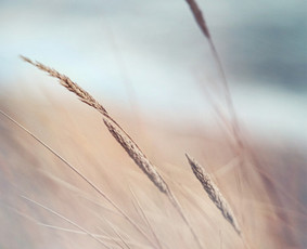 Asmeninė, poros, švenčių fotografija / AureliaPhotography / Darbų pavyzdys ID 1451419