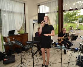 Muzikantai jubiliejui - Saksofonistas Vilius. Profesionalių muzikantų grupė - 1