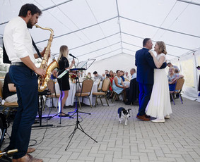 Saksofonistas Vilius. Profesionalių muzikantų grupė - Vestuvių muzikantai - 1 Vestuvių muzikantai - Saksofonistas Vilius. Profesionalių muzikantų grupė - 1