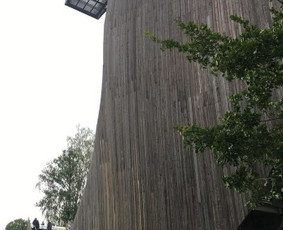 Transportas - Keleivių pervežimas - šventės, kelionės, išvykos - 4