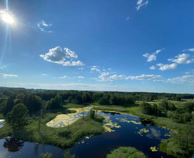 Transportas - Keleivių pervežimas - šventės, kelionės, išvykos - 2