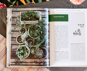 Maketavimas - Grafinis dizainas / iliustracija - 3