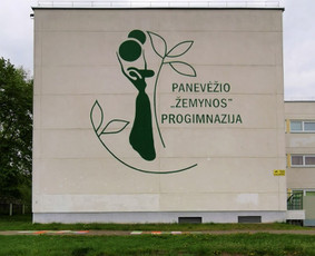 Sienų dekoratorė Kaune / Aistė Bartusevičė / Darbų pavyzdys ID 1455969