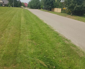 Aplinkos tvarkymas Vilniuje bei aplink Vilnių / Justinas Grušnius / Darbų pavyzdys ID 1456403
