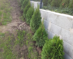 Aplinkos tvarkymas Vilniuje bei aplink Vilnių / Justinas Grušnius / Darbų pavyzdys ID 1456409