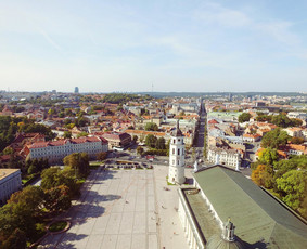 Nekilnojamojo turto brokeris Vilniuje Darjuš Urbanovič / Darjuš Urbanovič / Darbų pavyzdys ID 1459873