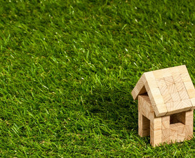 Nekilnojamojo turto brokeris Vilniuje Darjuš Urbanovič / Darjuš Urbanovič / Darbų pavyzdys ID 1459921