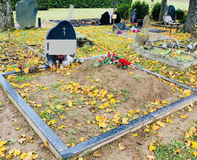 Kapaviečių tvarkymas / Mindaugas Klimantavičius / Darbų pavyzdys ID 1460671