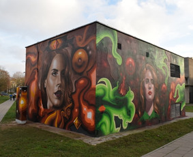 Murals / Frankie Nesbitt / Darbų pavyzdys ID 1466297