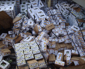 Žalų administravimas - Žalų administravimas bei nuostolių vertinimas - 2