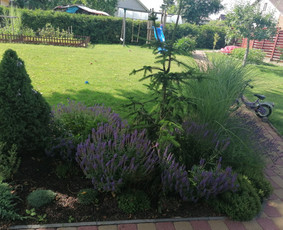 Kiemo, aplinkos apželdinimas - Apželdinimo darbai. Apželdinimo planas, sąmata, pokalbis vie - 1