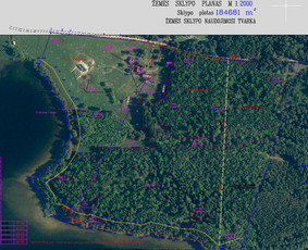 Žemės valdos projektai, geodezija, topografija, schemos / Mindaugas / Darbų pavyzdys ID 1475627