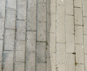 Langu valymas / Mindaugas / Darbų pavyzdys ID 1477037