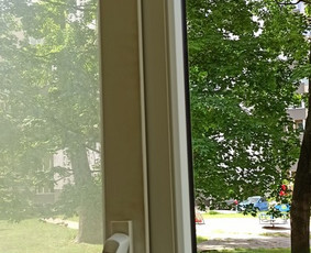 Langu valymas / Mindaugas / Darbų pavyzdys ID 1477041