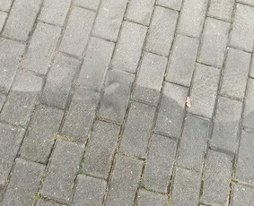 Langu valymas / Mindaugas / Darbų pavyzdys ID 1477053