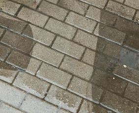 Langu valymas / Mindaugas / Darbų pavyzdys ID 1477057