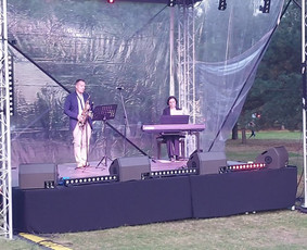 Dainininkai, muzikos grupės - Saksofono ir fortepijono muzika renginiams - 4