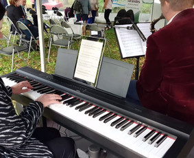 Instrumentinė muzika renginiams - Saksofono ir fortepijono muzika renginiams - 4