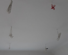Elektros instaliacijos darbai, Šiauliai / Rimantas / Darbų pavyzdys ID 1482911