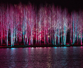 Techninis Renginių Aptarnavimas - Vakarėlių apšvietimas - 3 Vakarėlių apšvietimas - Techninis Renginių Aptarnavimas - 3