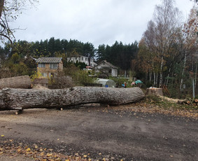 Arboristo paslaugos. Medžių pjovimas, kelmų naikinimas / Mantas Gerulis / Darbų pavyzdys ID 1493045