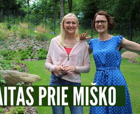 Kraštovaizdžio dizainas, laistymo sistemų ir vejos įrengimas / Magiški Sodai / Darbų pavyzdys ID 1499539
