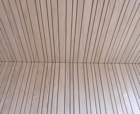 Mano natūra - architektūra / Vytis Cibulskis / Darbų pavyzdys ID 1502235