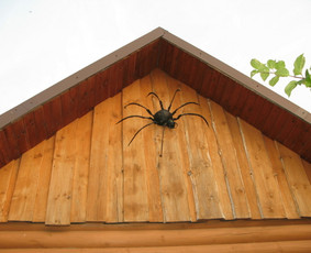 Kalvis Rimas - Kalviai, kalvystės darbai - 2 Kalviai, kalvystės darbai - Kalvis Rimas - 2