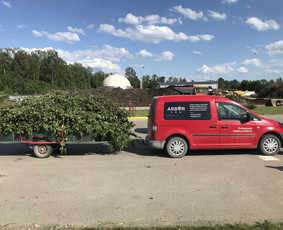 Šakų išvežimas