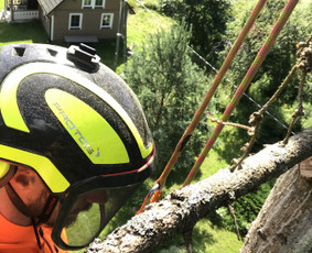 Arborpro - Profesionali Medžių priežiūra Sertifikuoti Etw / “Arborpro” / Darbų pavyzdys ID 1503233