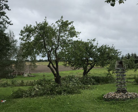 Arborpro - Profesionali Medžių priežiūra Sertifikuoti Etw / “Arborpro” / Darbų pavyzdys ID 1503239