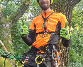 Arborpro - Profesionali Medžių priežiūra Sertifikuoti Etw / “Arborpro” / Darbų pavyzdys ID 1503241