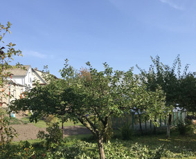 Išgenėtas