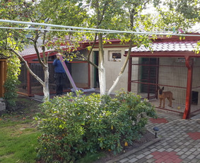 Stogų dengimas,renovacija. Ventiliuojami fasadai. / Vilius / Darbų pavyzdys ID 1506275