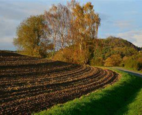 Sąžiningos teisinės paslaugos - Paveldėjimo teisės paslaugos - 2 Paveldėjimo teisės paslaugos - Sąžiningos teisinės paslaugos - 2