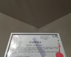 Profesionalios dainavimo pamokos gyvai ir online / Rasa Kaušiūtė / Darbų pavyzdys ID 1512593