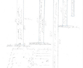 Žemės valdos projektai, geodezija, topografija, schemos / Mindaugas / Darbų pavyzdys ID 1516203