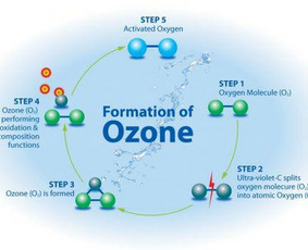 Buitinės paslaugos - Korona ar kiti virusai? Dezinfekuojam patalpas. - 2