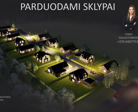 3d Modeliavimas/interjero/eksterjetro vizualizacijos / Tomas Le / Darbų pavyzdys ID 1520811