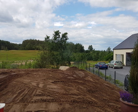 Apleistų sklypų tvarkymas - Gerbūvio ir arborizmo paslaugos - 1